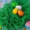 8oz Easter Grass, Pure Dark Green Recyclable Paper Grass